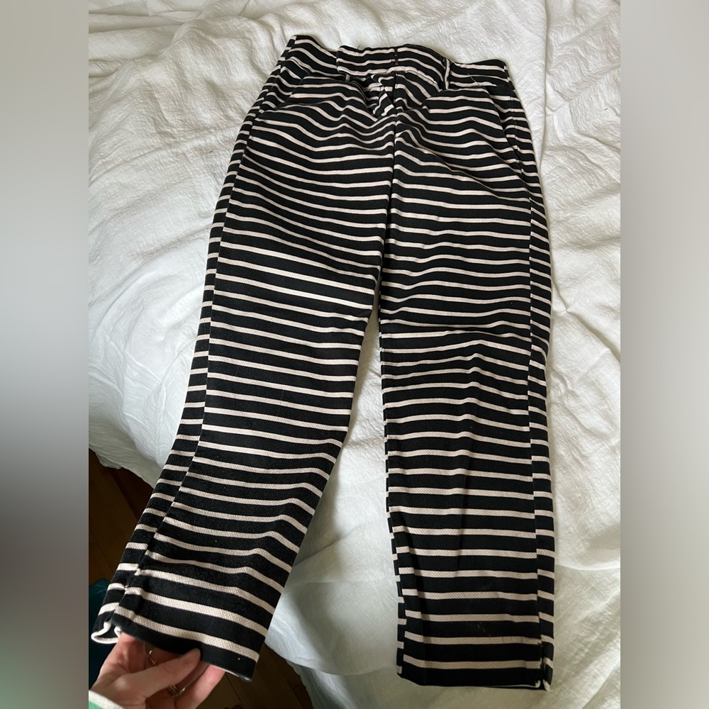 Loft dress pants